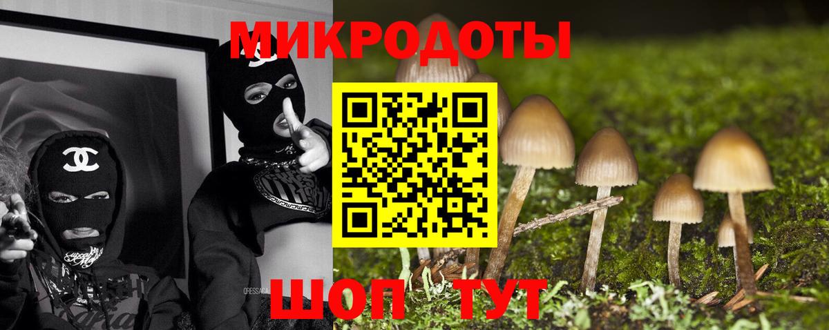 Псилоцибиновые грибы MAGIC MUSHROOMS  Вход с VPN  Псилоцибиновые грибы ЛСД  Великий Новгород 