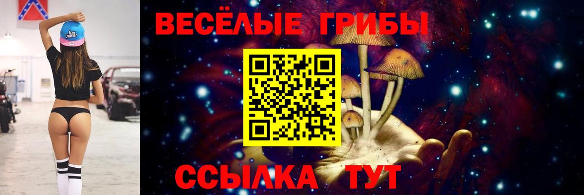 Галлюциногенные грибы Cubensis Великий Новгород
